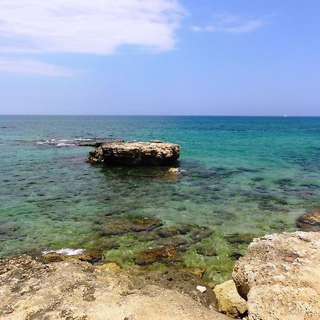 רוטיליאנו B&B Poggio Delle Ginestre מראה חיצוני תמונה