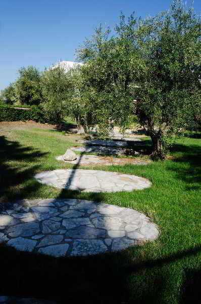 רוטיליאנו B&B Poggio Delle Ginestre מראה חיצוני תמונה